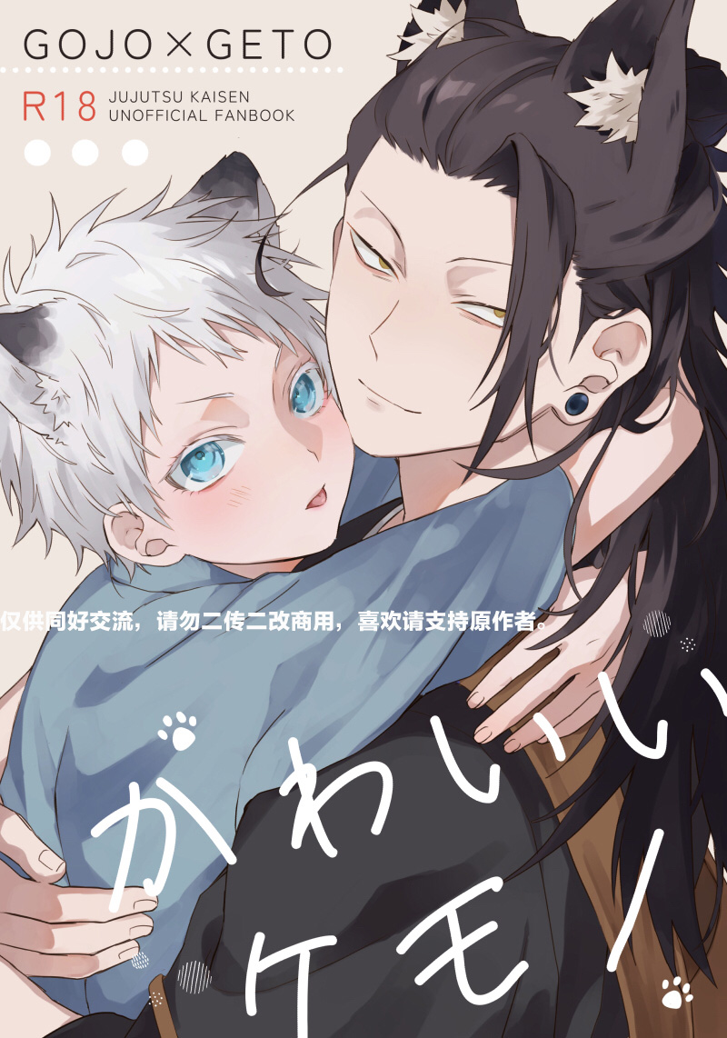 The cover picture of the next content