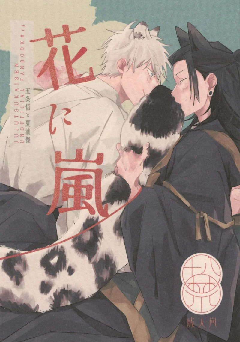 The cover picture of the previous content