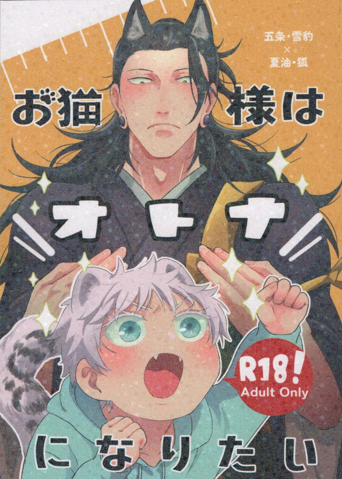 The cover picture of the previous content