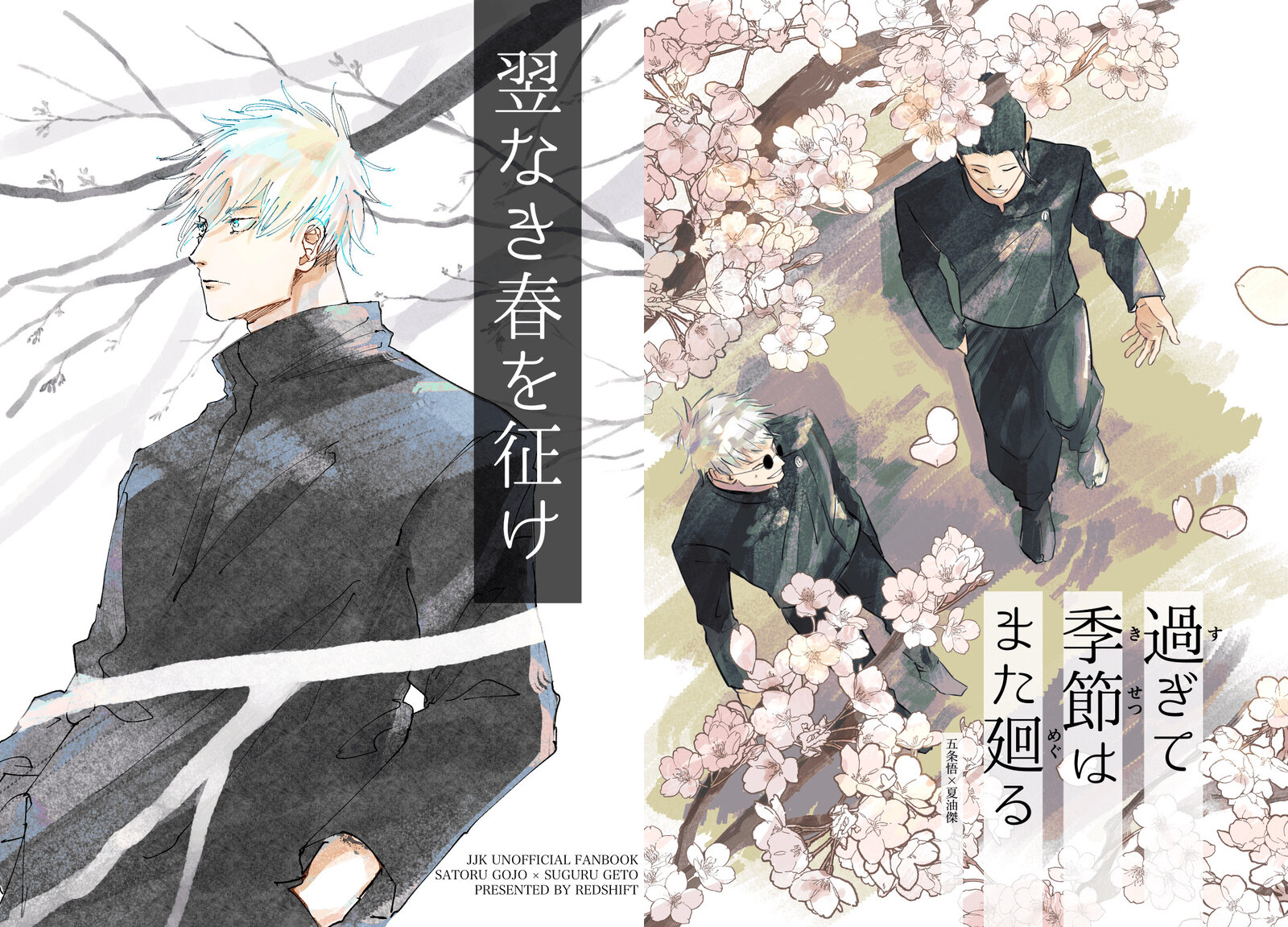 The cover picture of the previous content