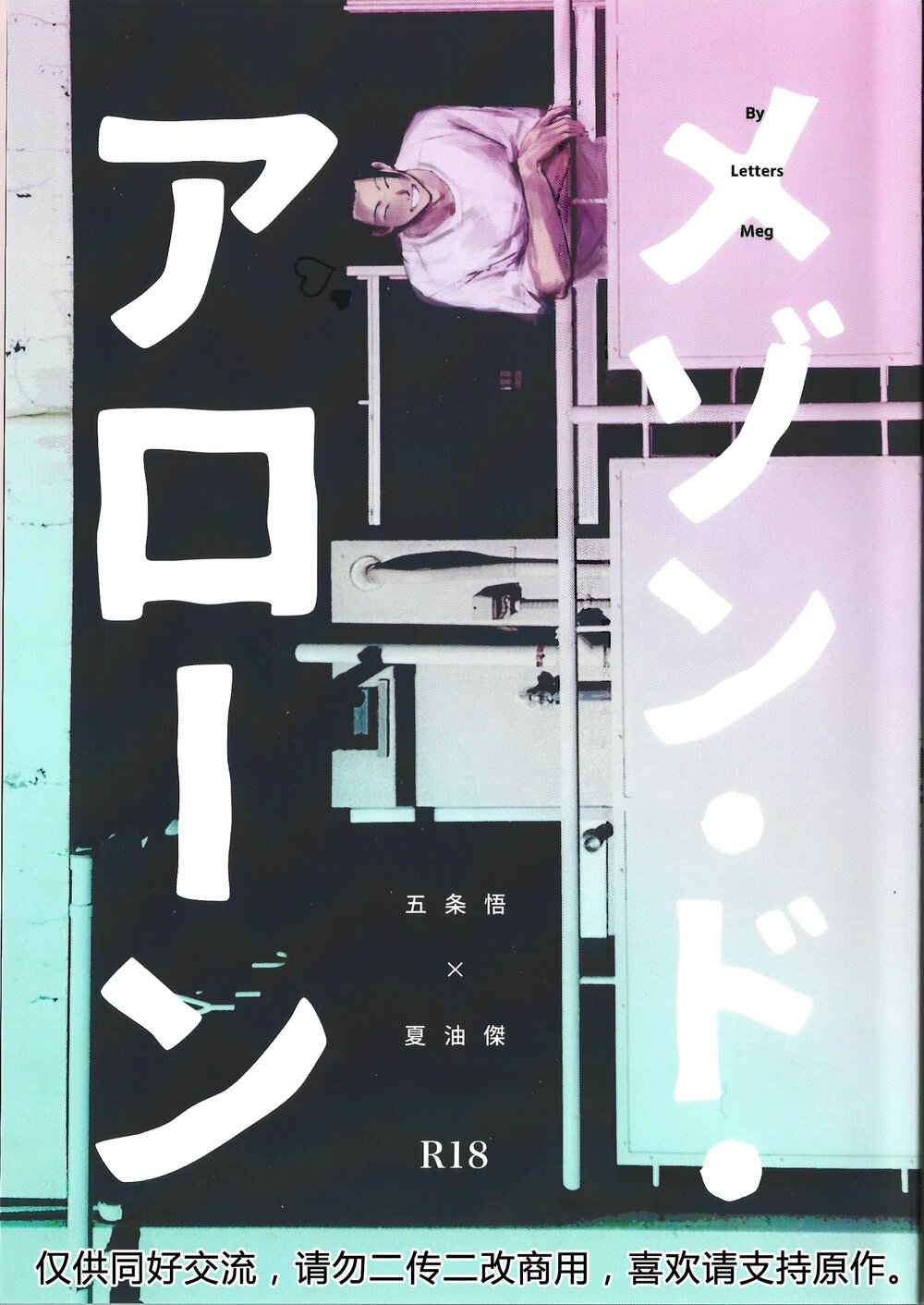 large picture of the cover