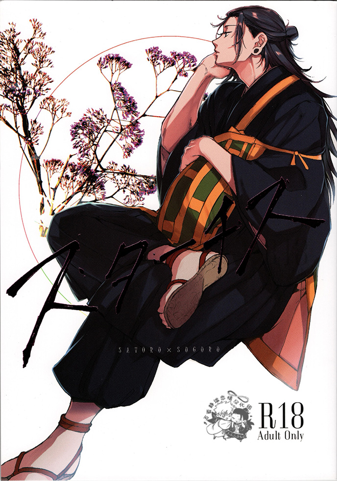 The cover picture of the next content