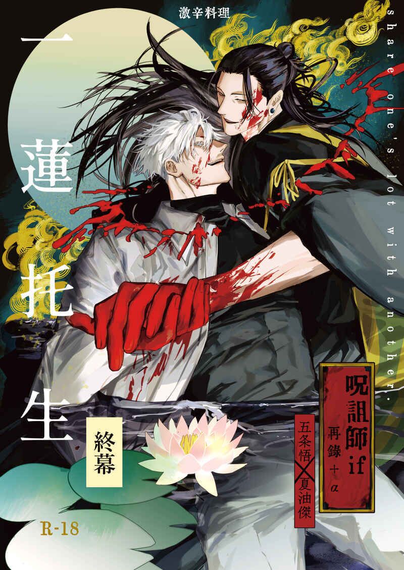 The cover picture of the previous content